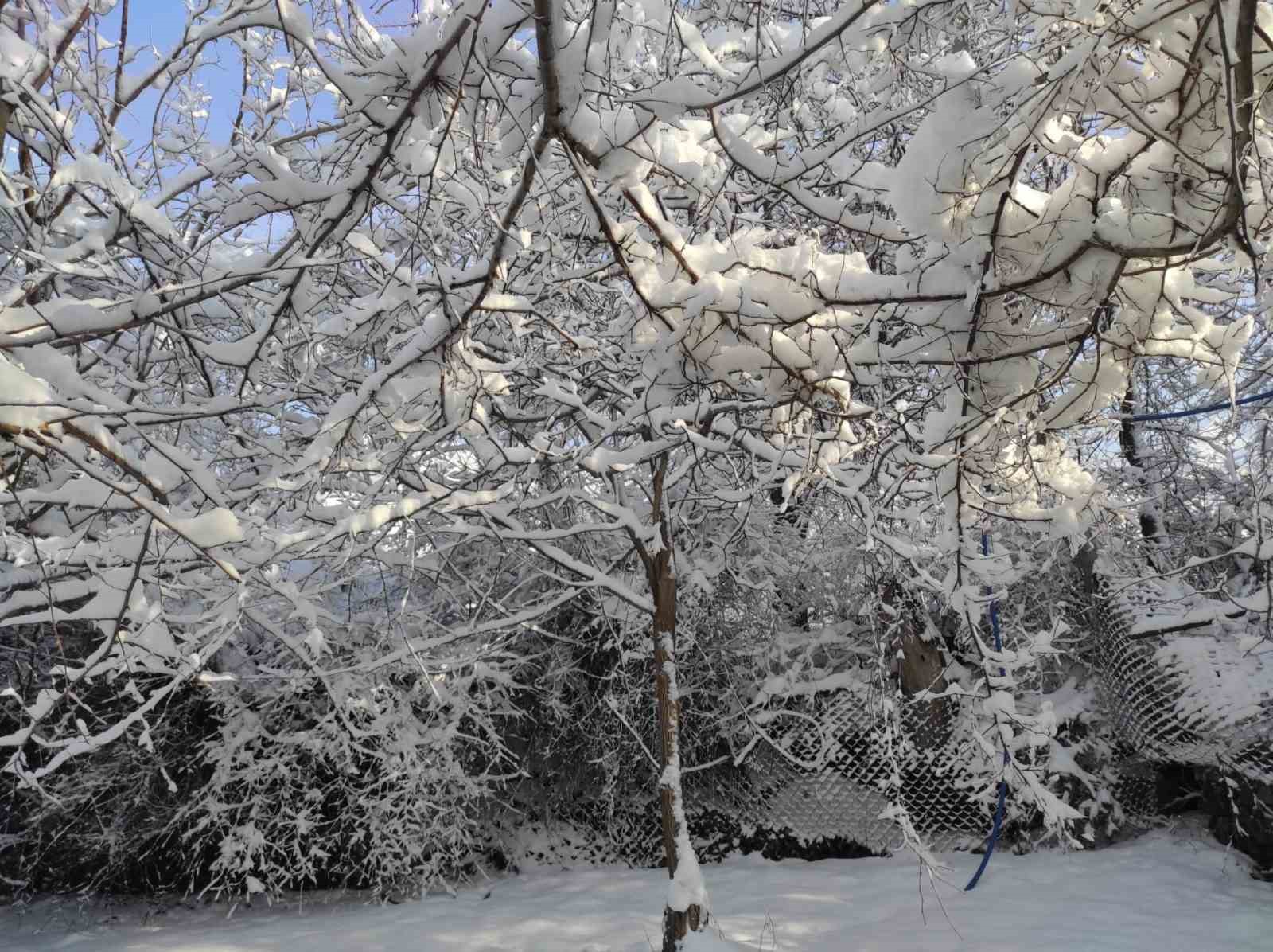 Batman’da kar yağışı hayatı olumsuz etkiledi
