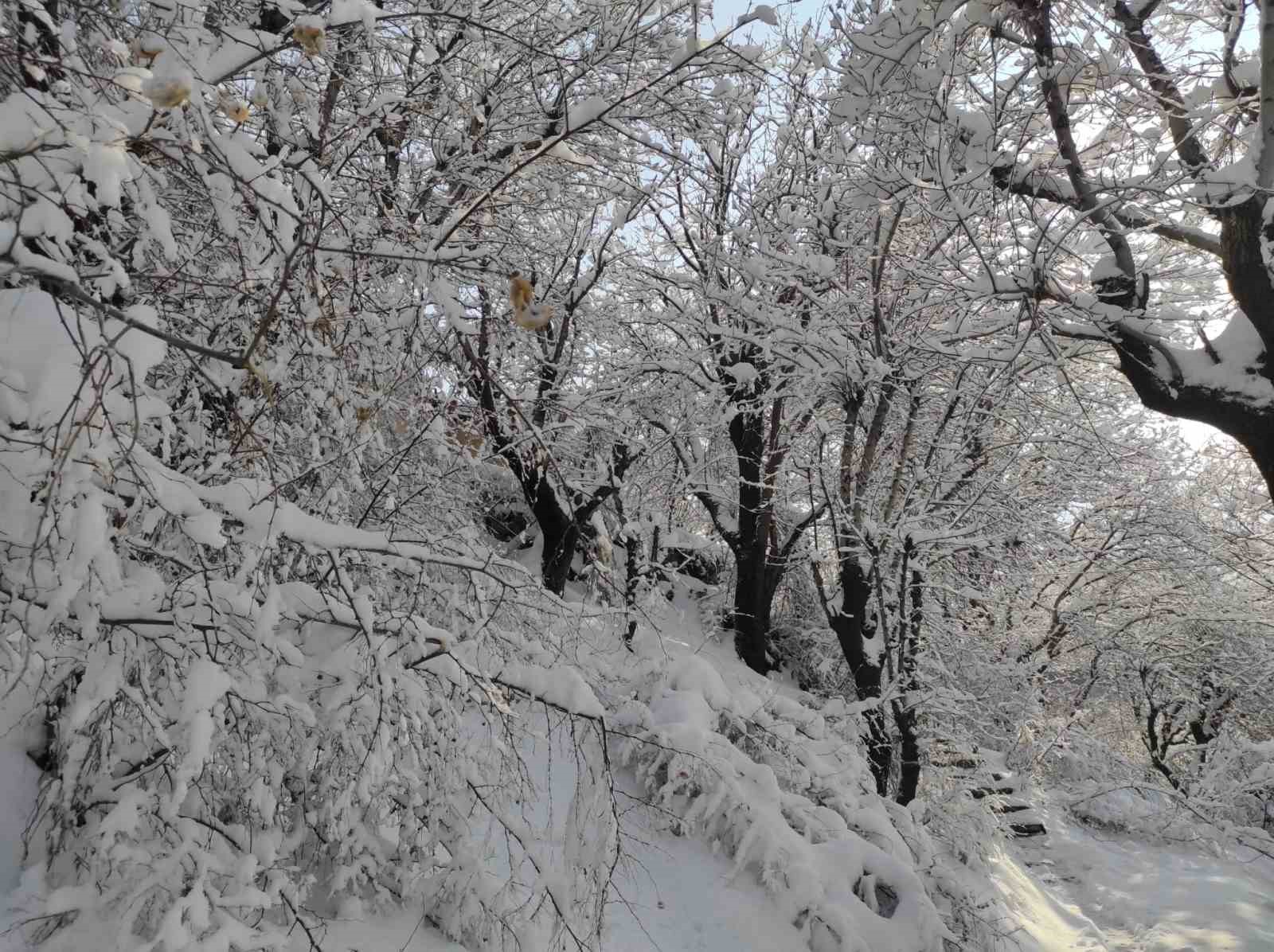 Batman’da mart ayında kar yağışı etkili oldu
