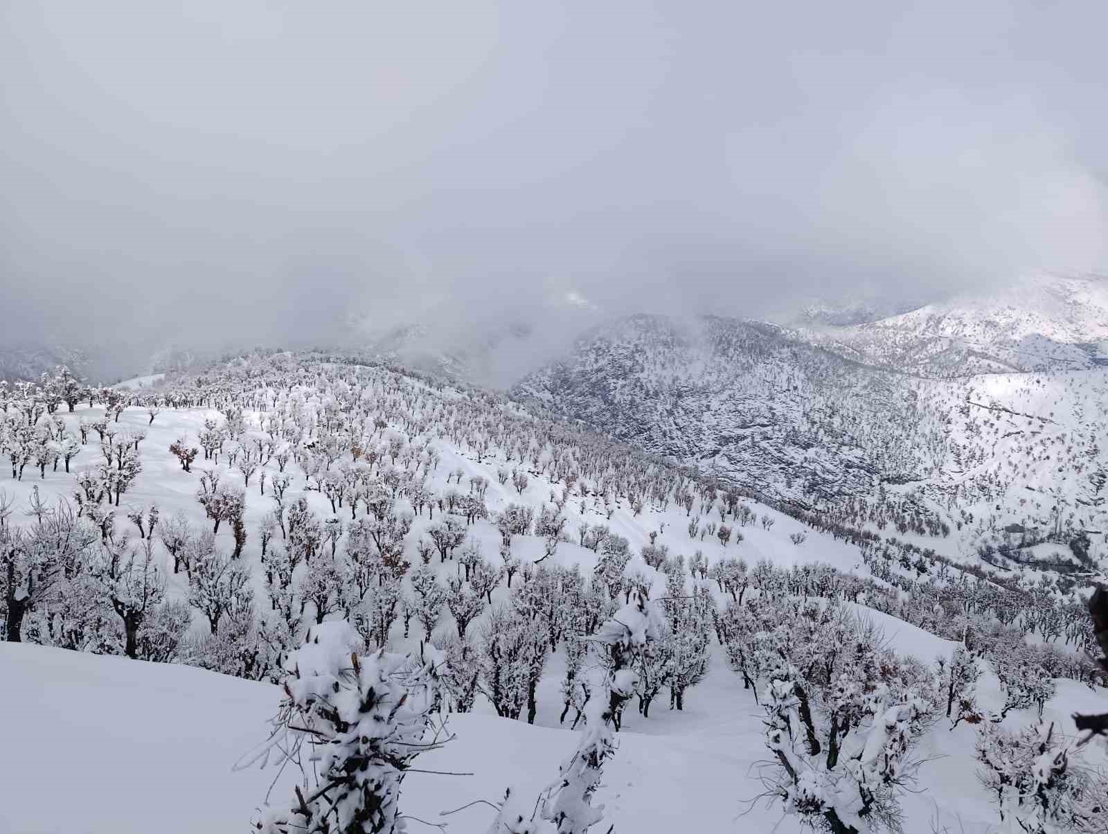Batman’da mart ayında kar yağışı etkili oldu
