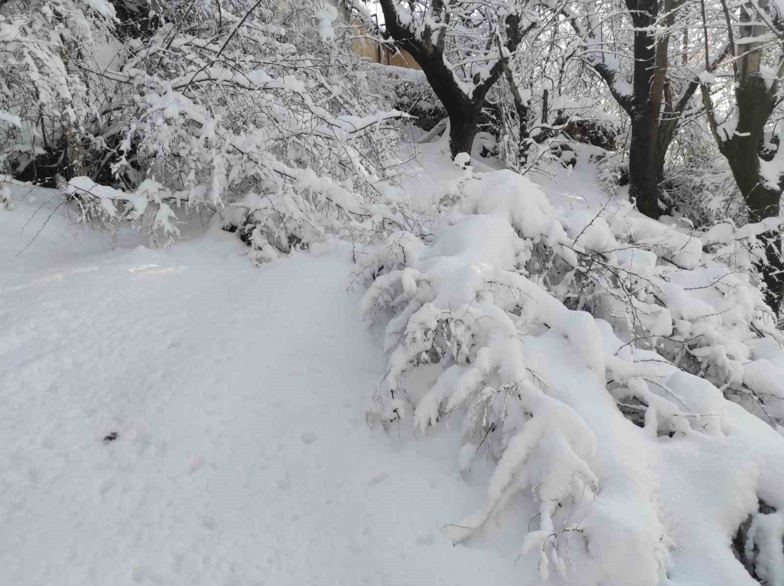 Batman’da mart ayında kar yağışı etkili oldu
