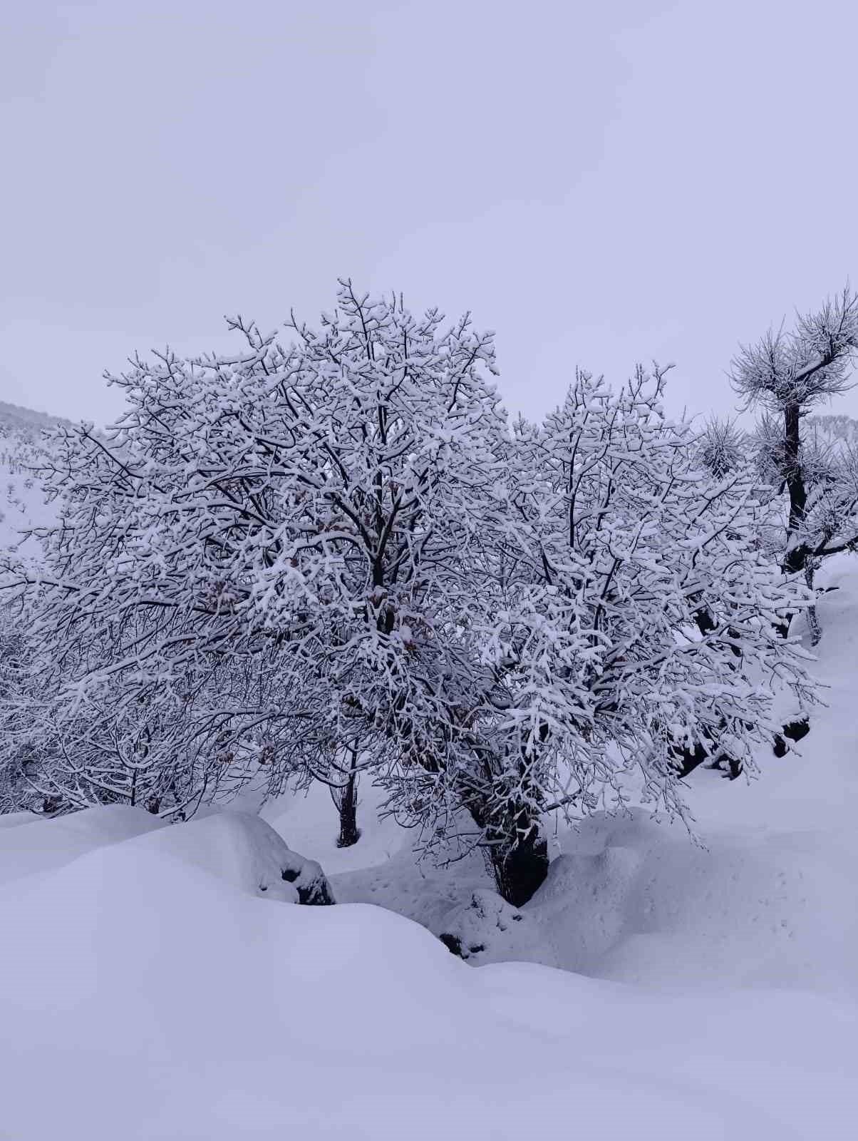Batman’da ulaşıma kapanan 500’ün üzerindeki yerleşim yeri yolu için çalışmalar sürüyor
