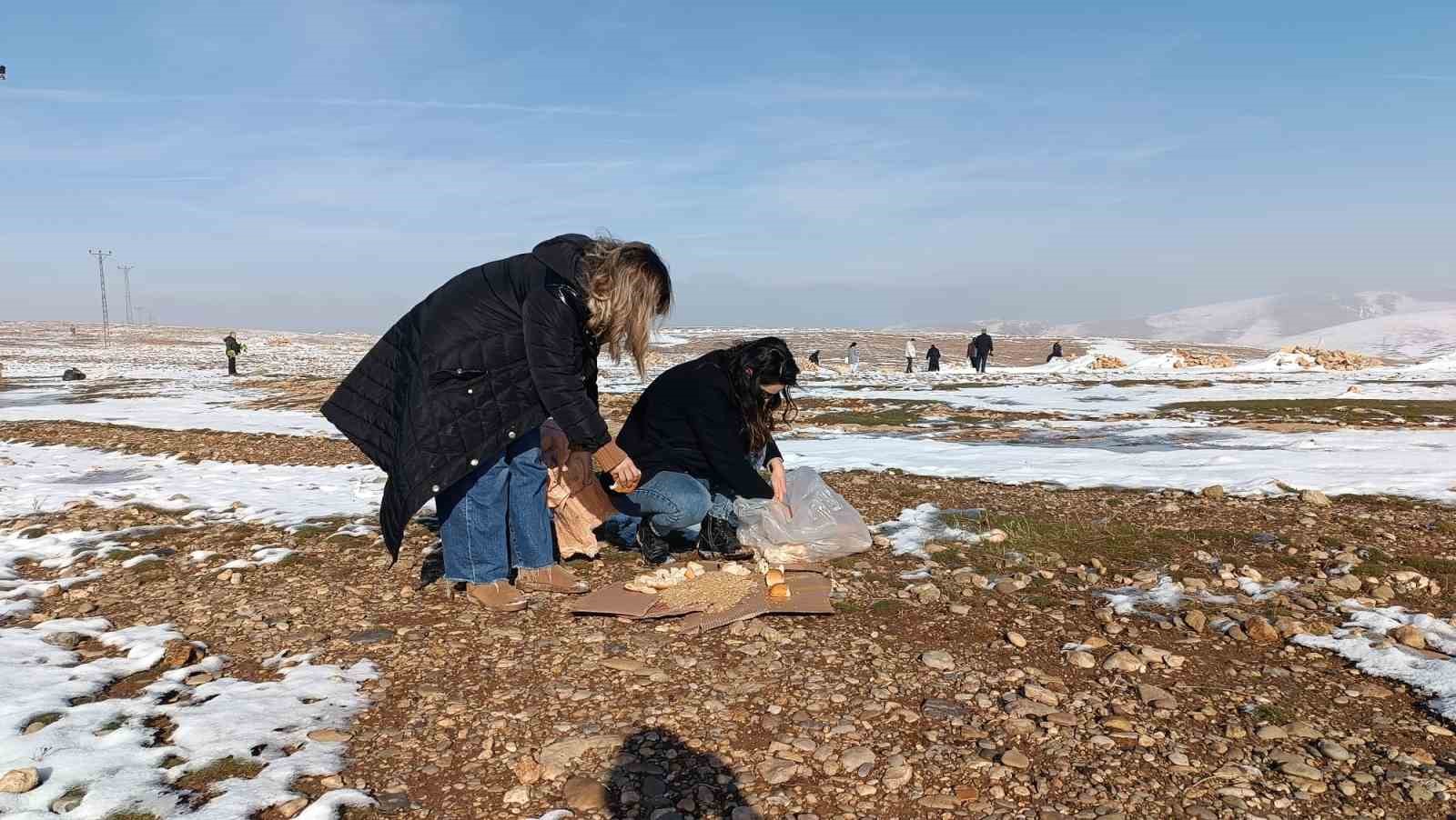 Batman’da yaban hayvanları için doğaya yem bırakıldı
