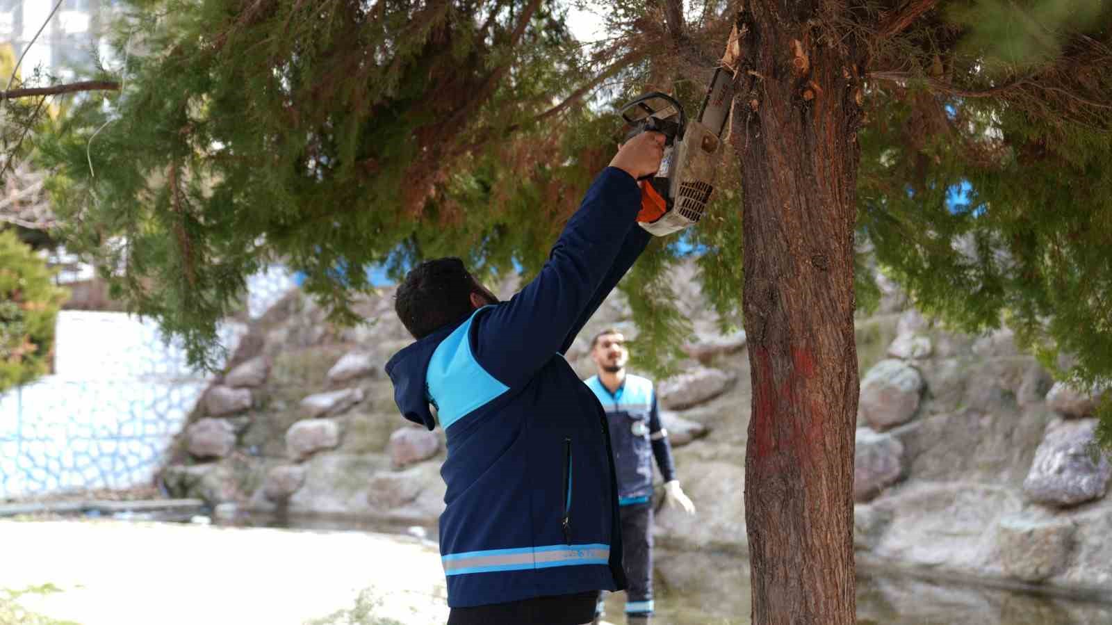 Battalgazi’de yeşil alanlarda kapsamlı çalışma
Battalgazi’de yeşil alanlarda kapsamlı çalışma