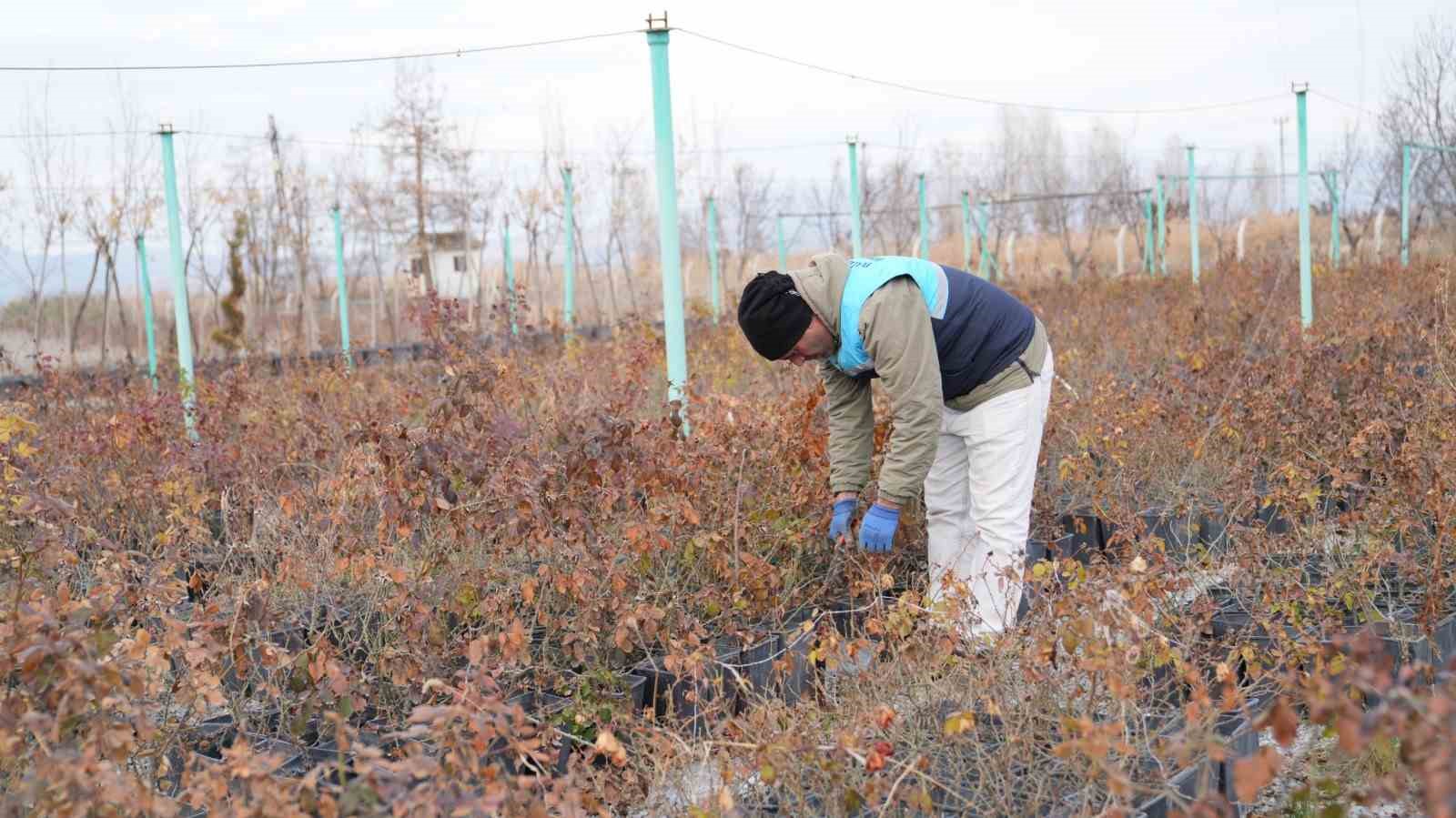 Battalgazi’de yeşil alanlarda kapsamlı çalışma
Battalgazi’de yeşil alanlarda kapsamlı çalışma