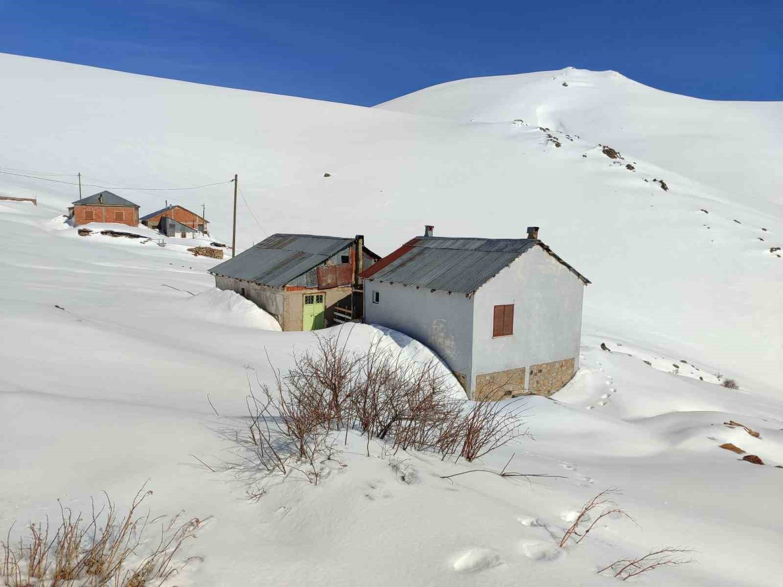 Bayburt’ta ayı saldırılarının yaşandığı yaylada ulaşım sorunu sürüyor
