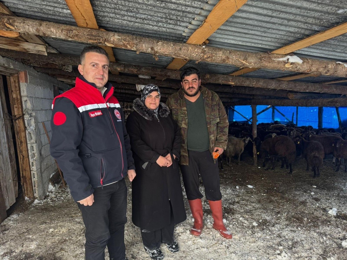 Bayburt’ta hayvancılığa yeni başlayan üreticilere destekler sürüyor
