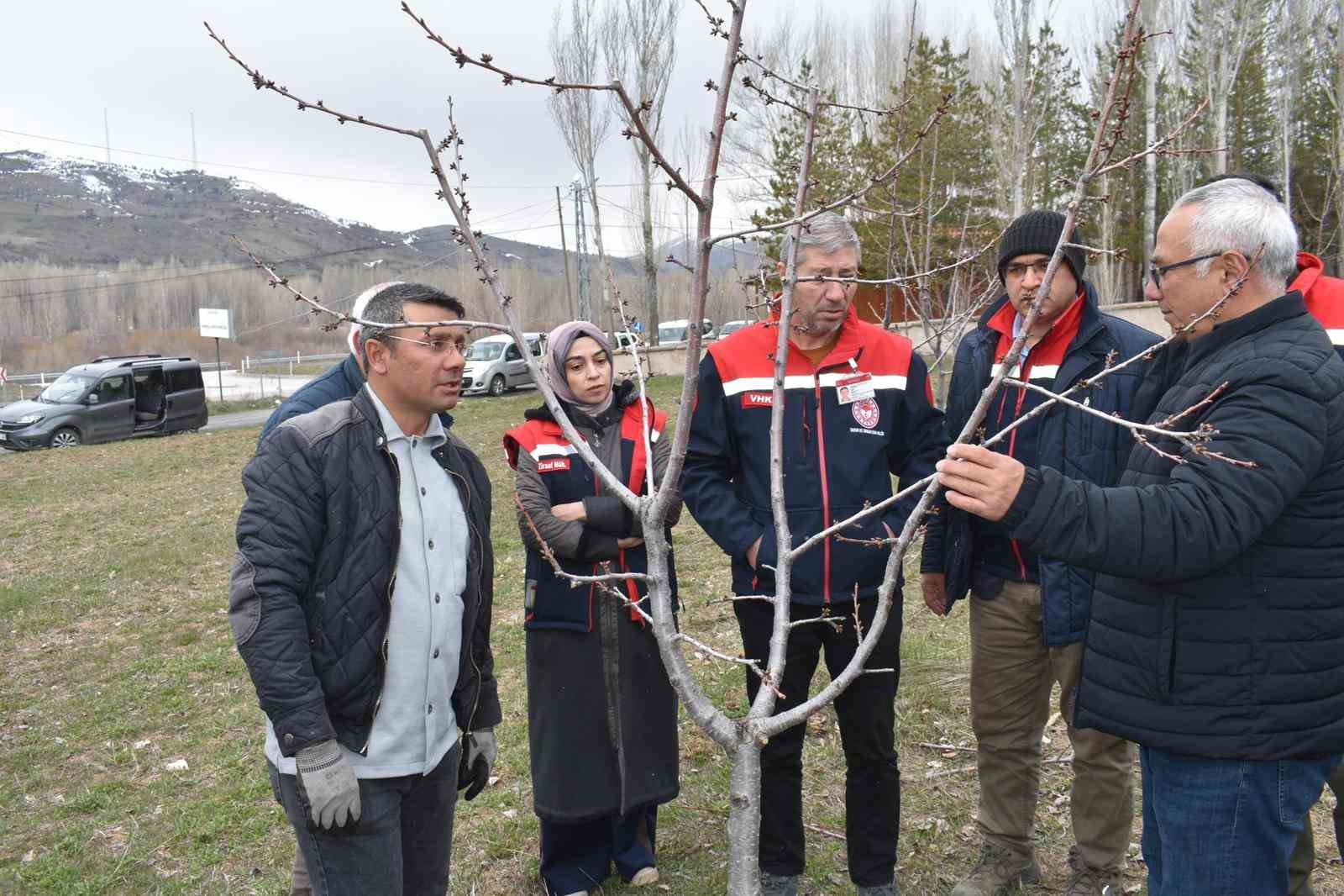 Bayburt’ta üreticilere aşılama ve budama eğitimi verildi
