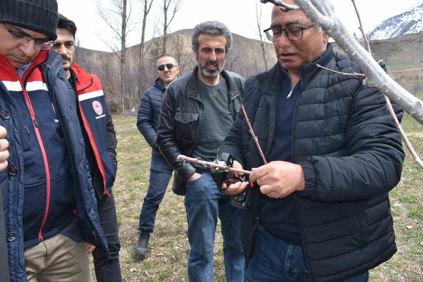 Bayburt’ta üreticilere aşılama ve budama eğitimi verildi
