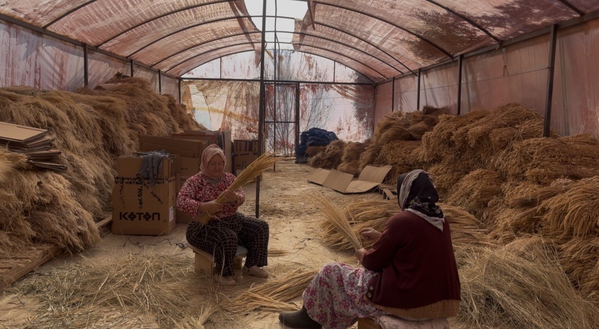 Bayındır nergis kokacak: Nergis ve Kuru Çiçek Festivali başlıyor
