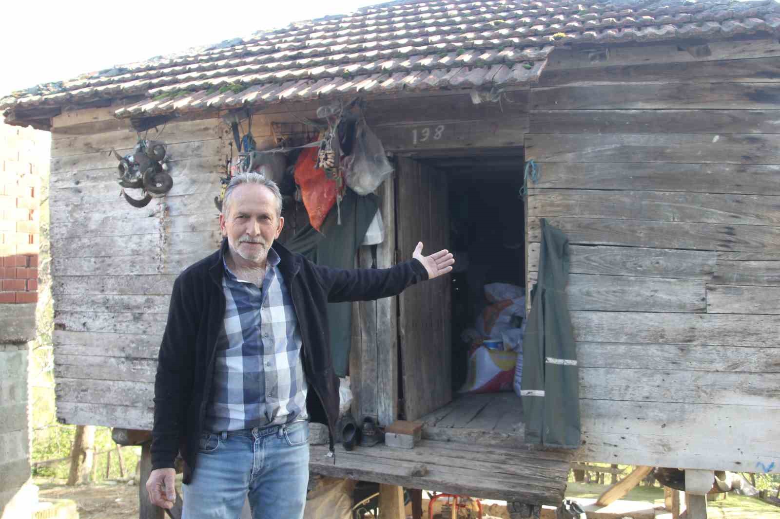 Baykuş ile çiftçinin 20 yıllık dostluğu: Her yıl aynı serendisine yuvalıyor
