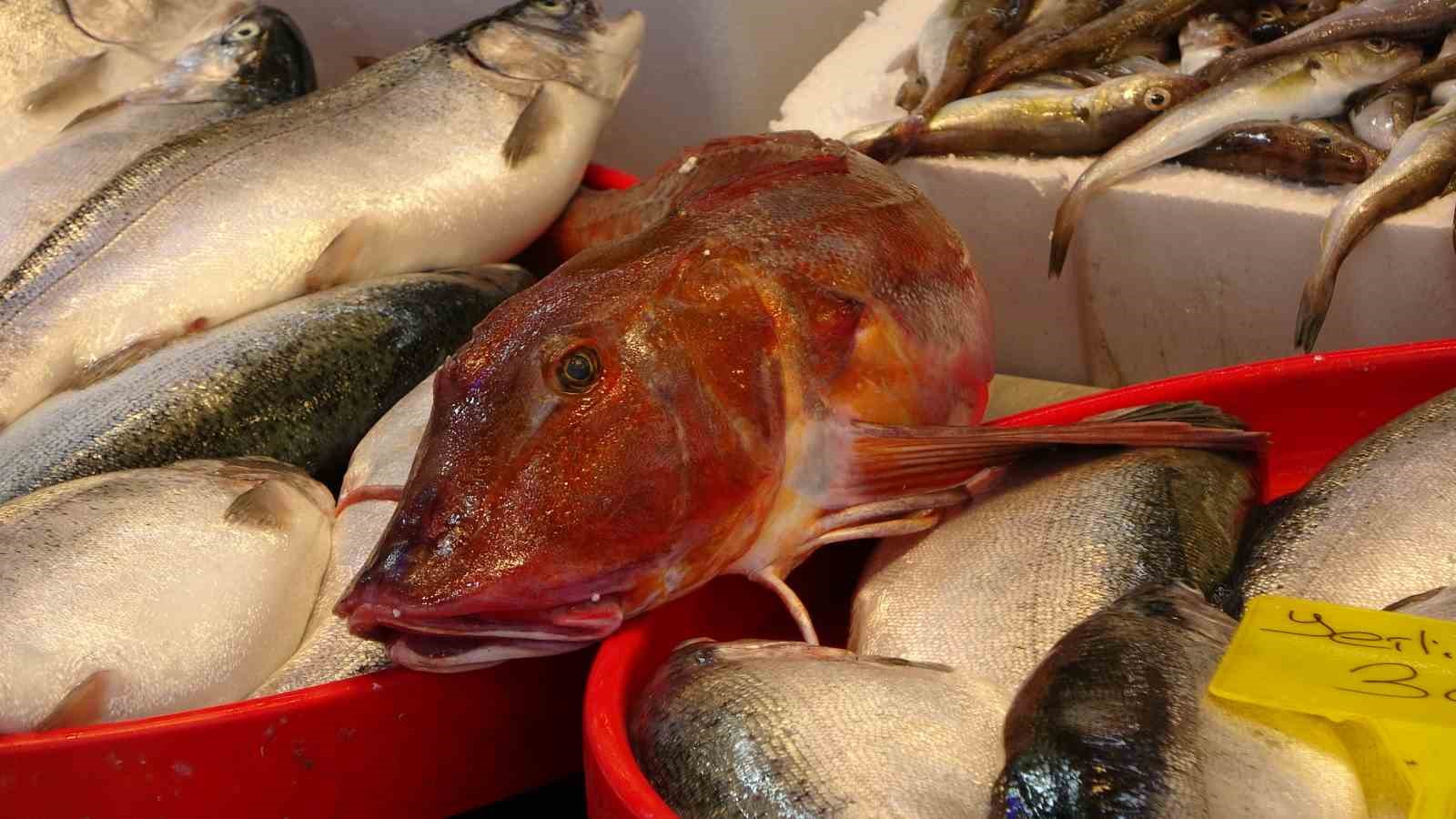 Bayram öncesi balık tezgahlarında bolluk
