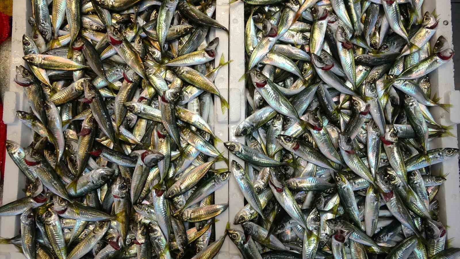 Bayram öncesi balık tezgahlarında bolluk
