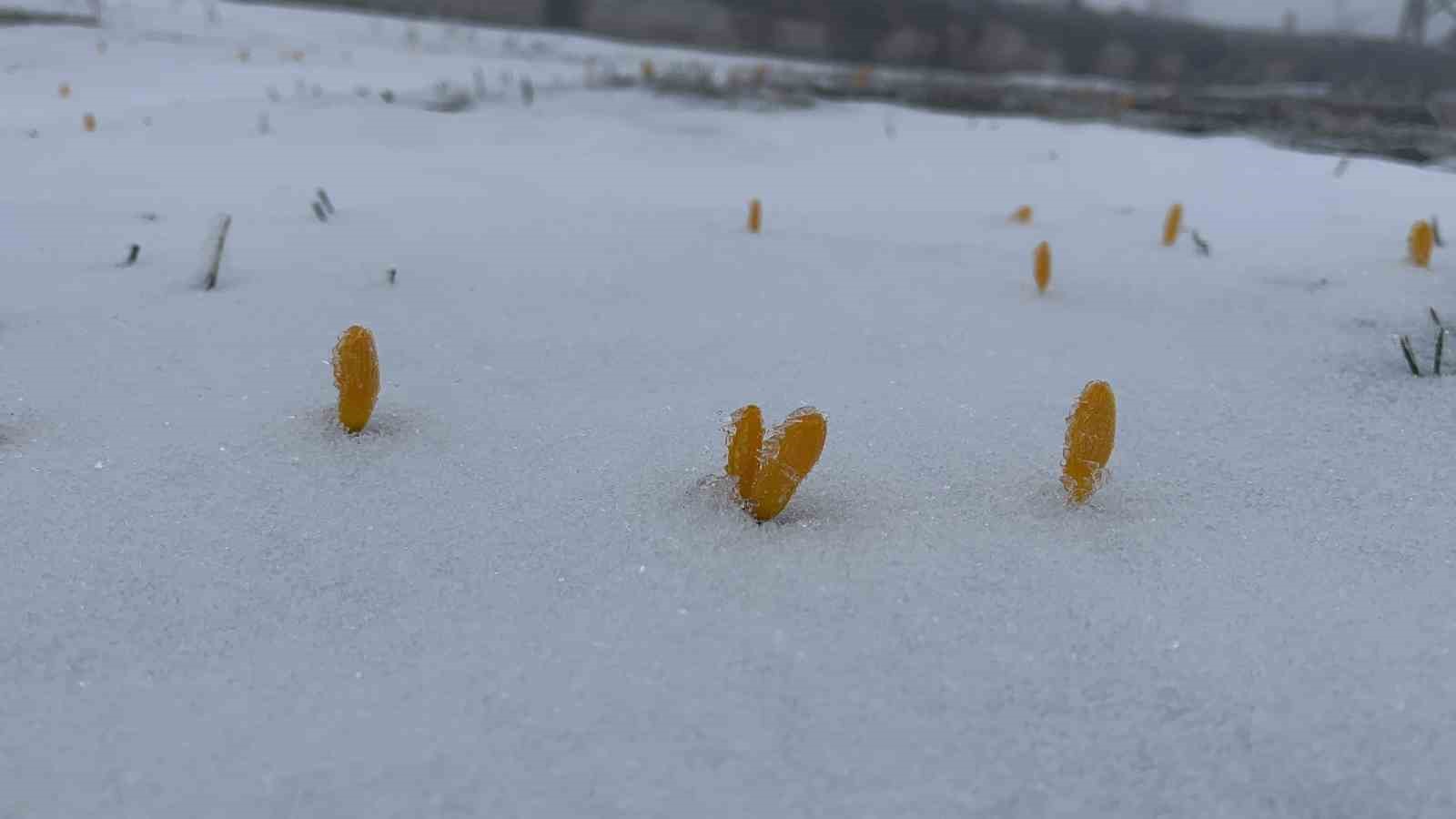 Bayram tatilinde kar yağışının tadını çıkardılar
