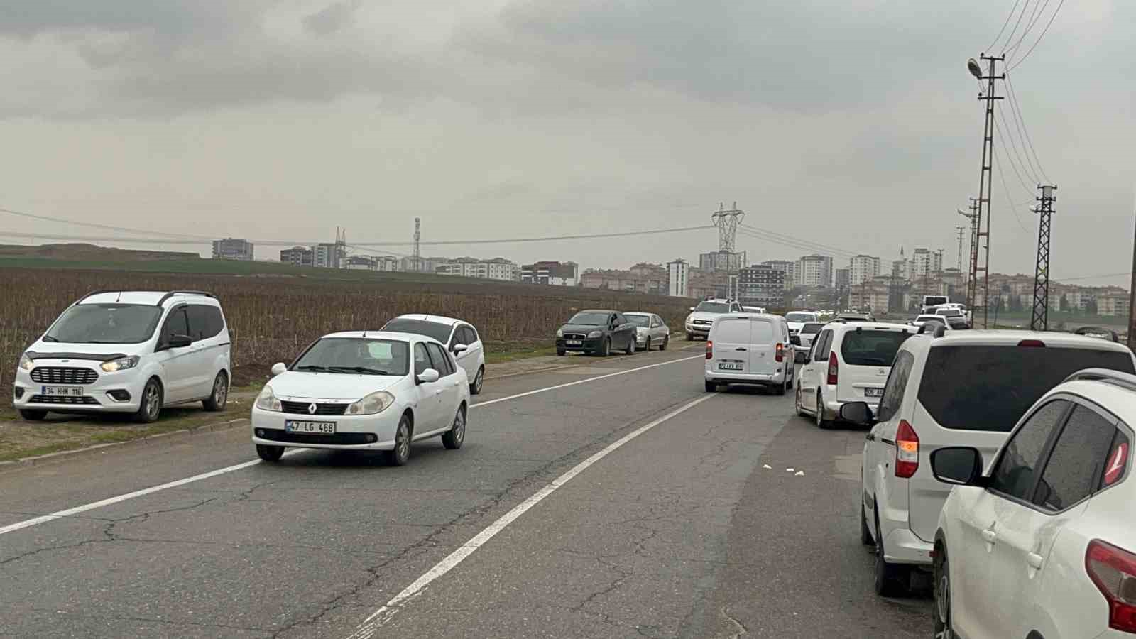 Bedava lahanayı duyan yağmura rağmen tarlaya akın etti
