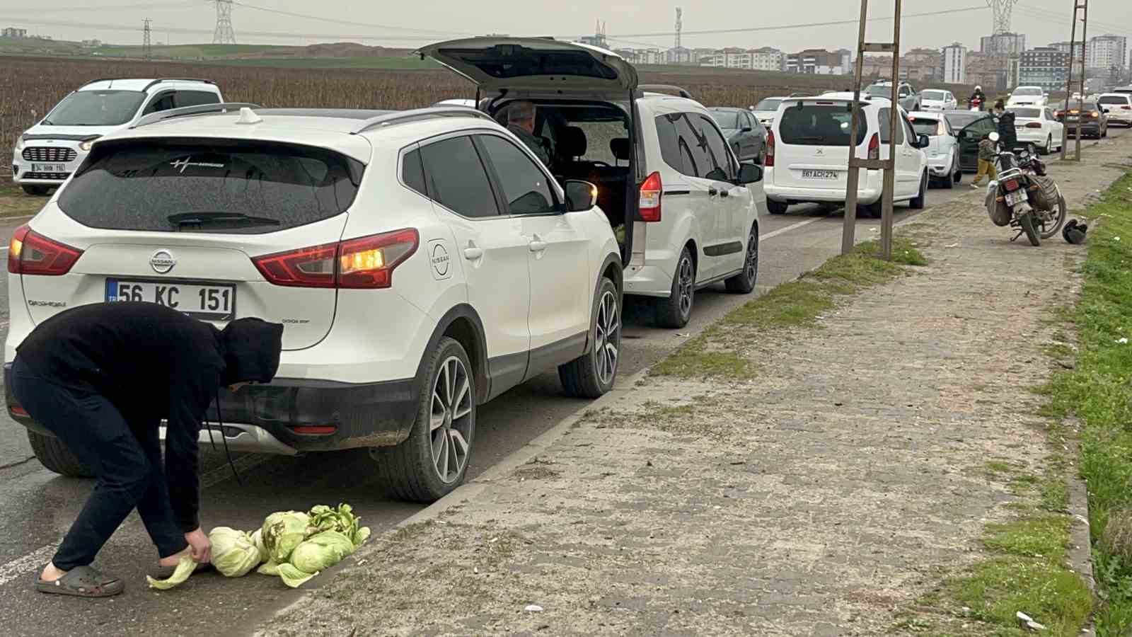 Bedava lahanayı duyan yağmura rağmen tarlaya akın etti
