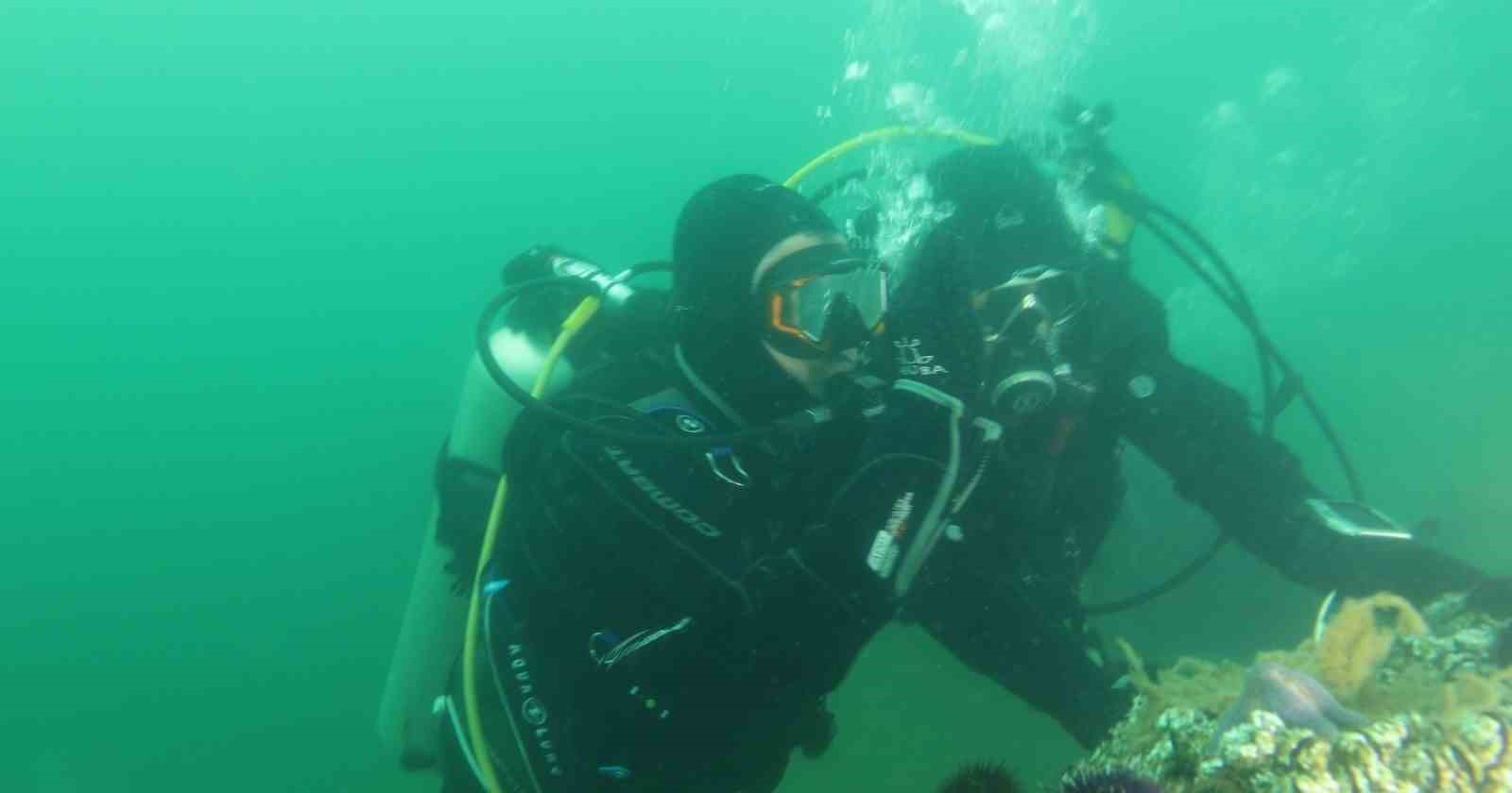 Belediye başkanı dalış yaptı, su altından müjdeyle çıktı
