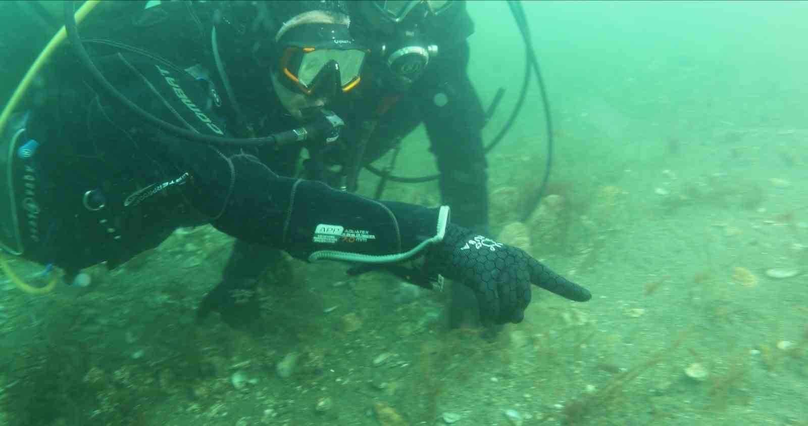 Belediye başkanı dalış yaptı, su altından müjdeyle çıktı
