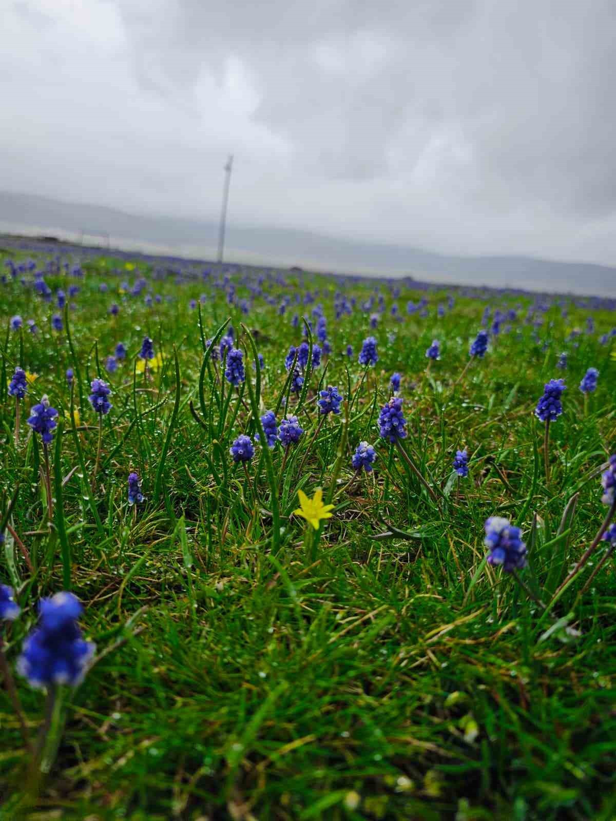 Benli yaylasındaki menderesler havadan görüntülendi
