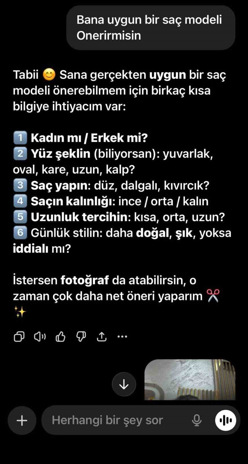 Berberlerde yapay zeka akımı
