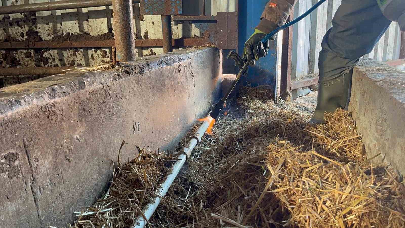 Besiciler donan su şebeklerini açmak için uğraşıyor
