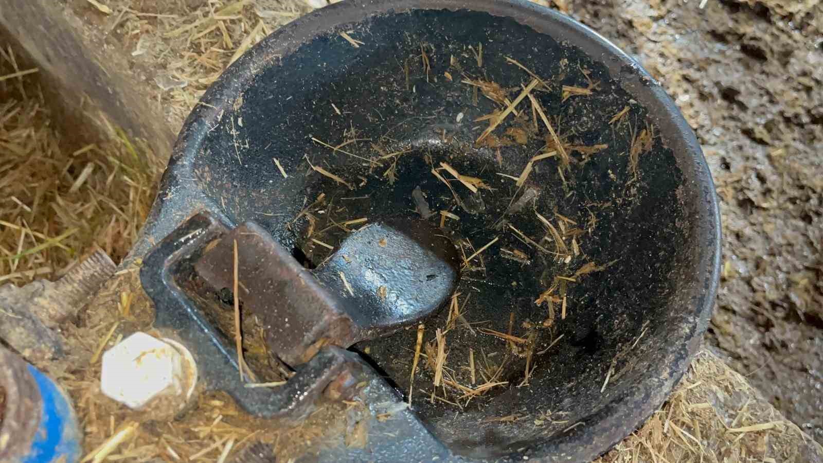 Besiciler donan su şebeklerini açmak için uğraşıyor
