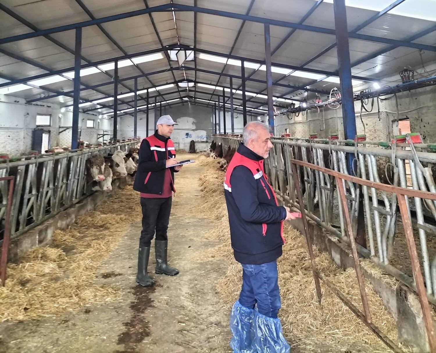 Besicilik işletmelerine yönelik ‘kapasite ölçümleri’ devam ediyor
