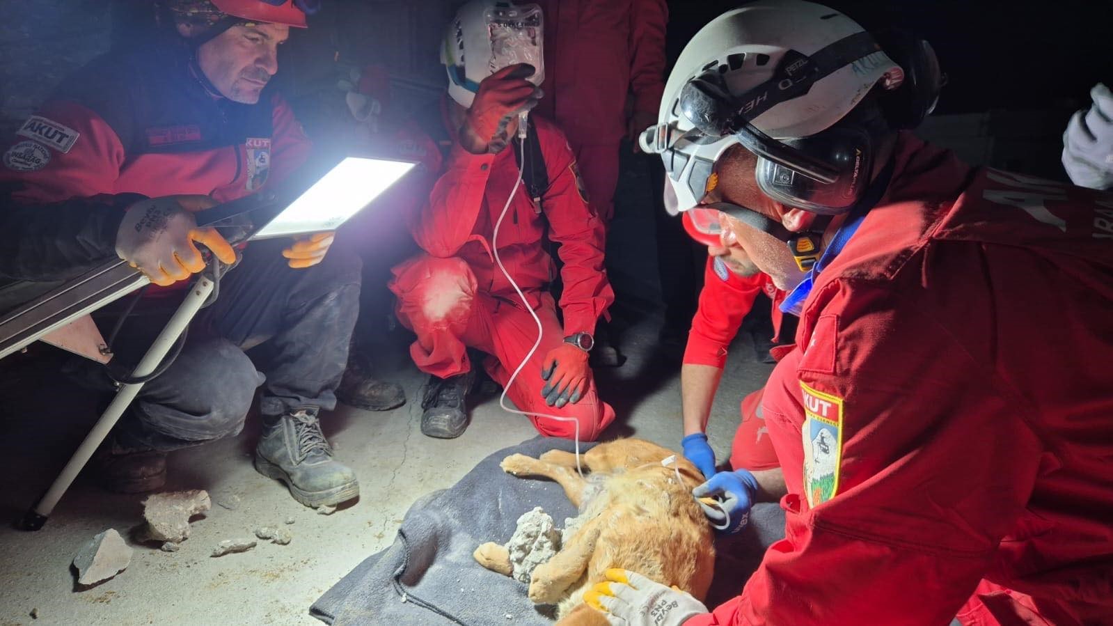 Betonun içine sıkışan köpek kurtarıldı
