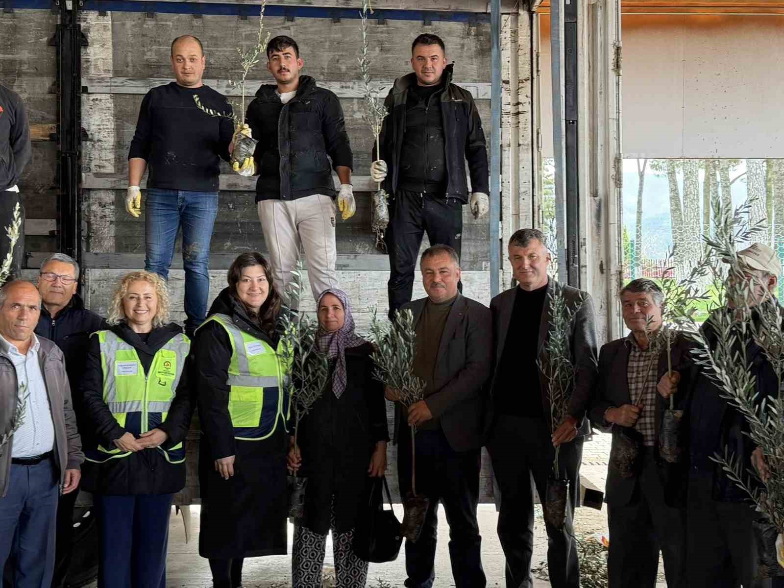 Beyağaç’ta kırsal kalkınmayı destek amacıyla zeytin fidanı dağıtımı gerçekleşti
