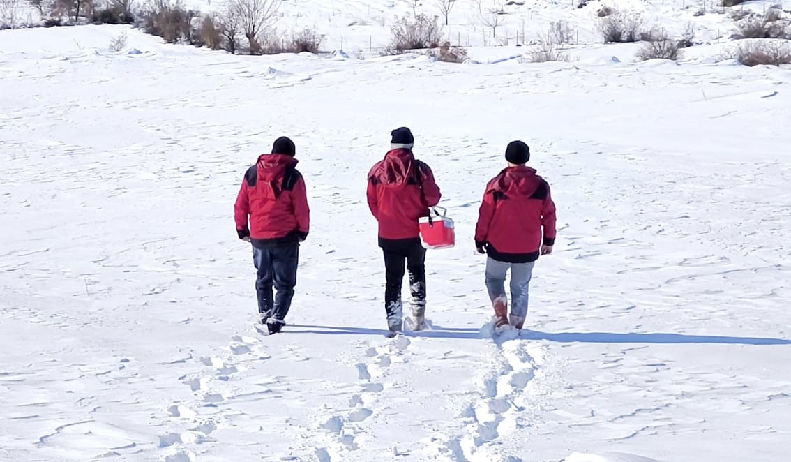 Beyaz esaretin içinde hayat kurtaran eller
