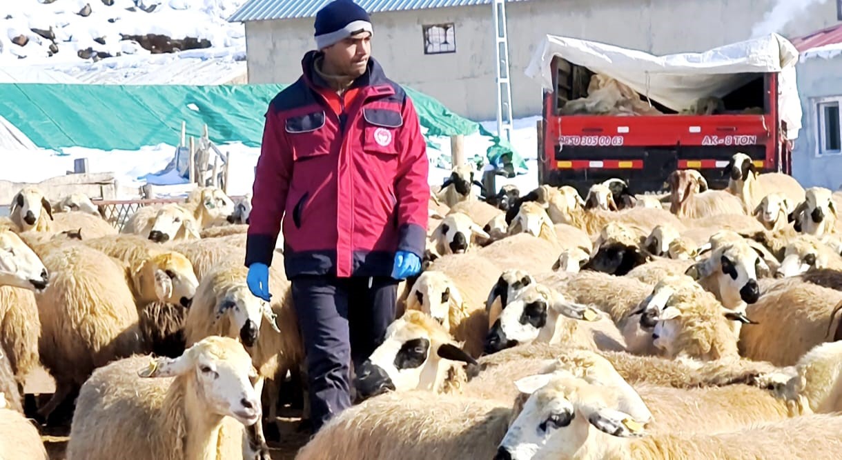 Beyaz esaretin içinde hayat kurtaran eller
