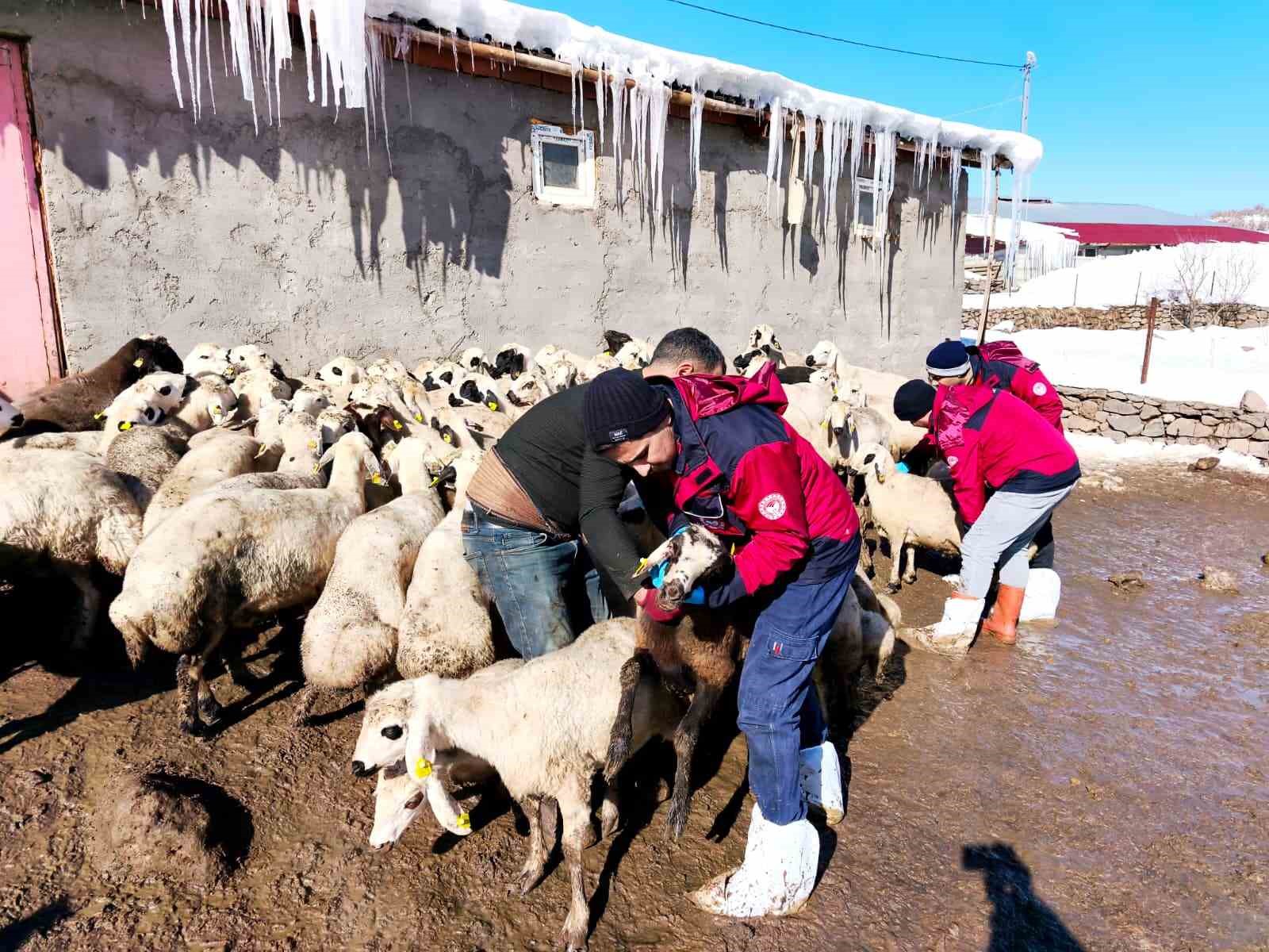 Beyaz esaretin içinde hayat kurtaran eller
