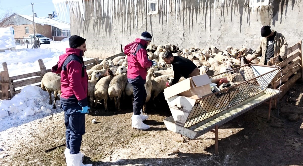 Beyaz esaretin içinde hayat kurtaran eller
