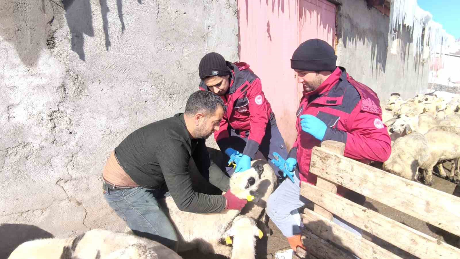 Beyaz esaretin içinde hayat kurtaran eller
