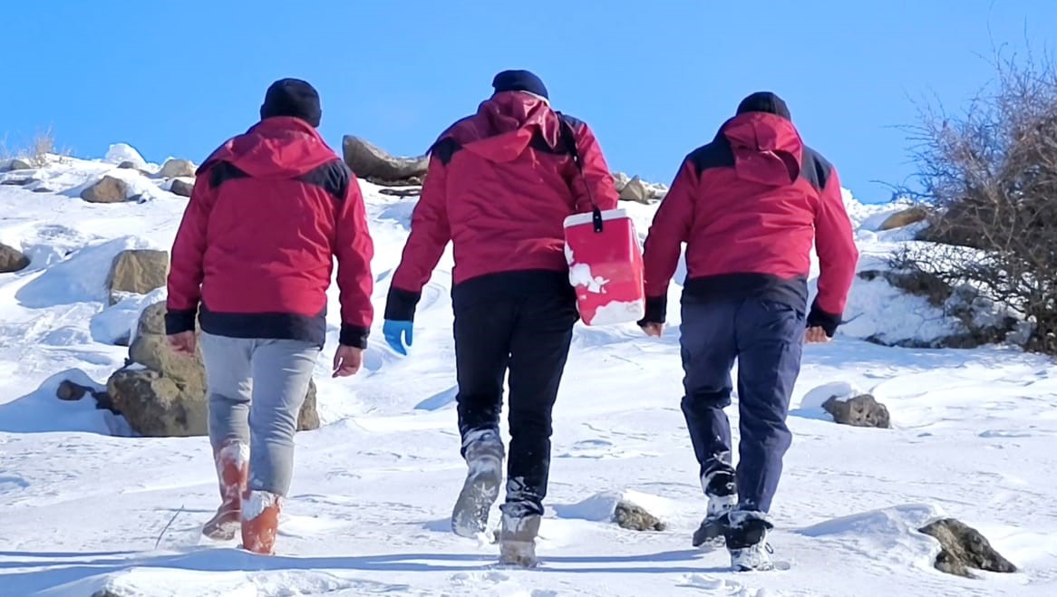Beyaz esaretin içinde hayat kurtaran eller
