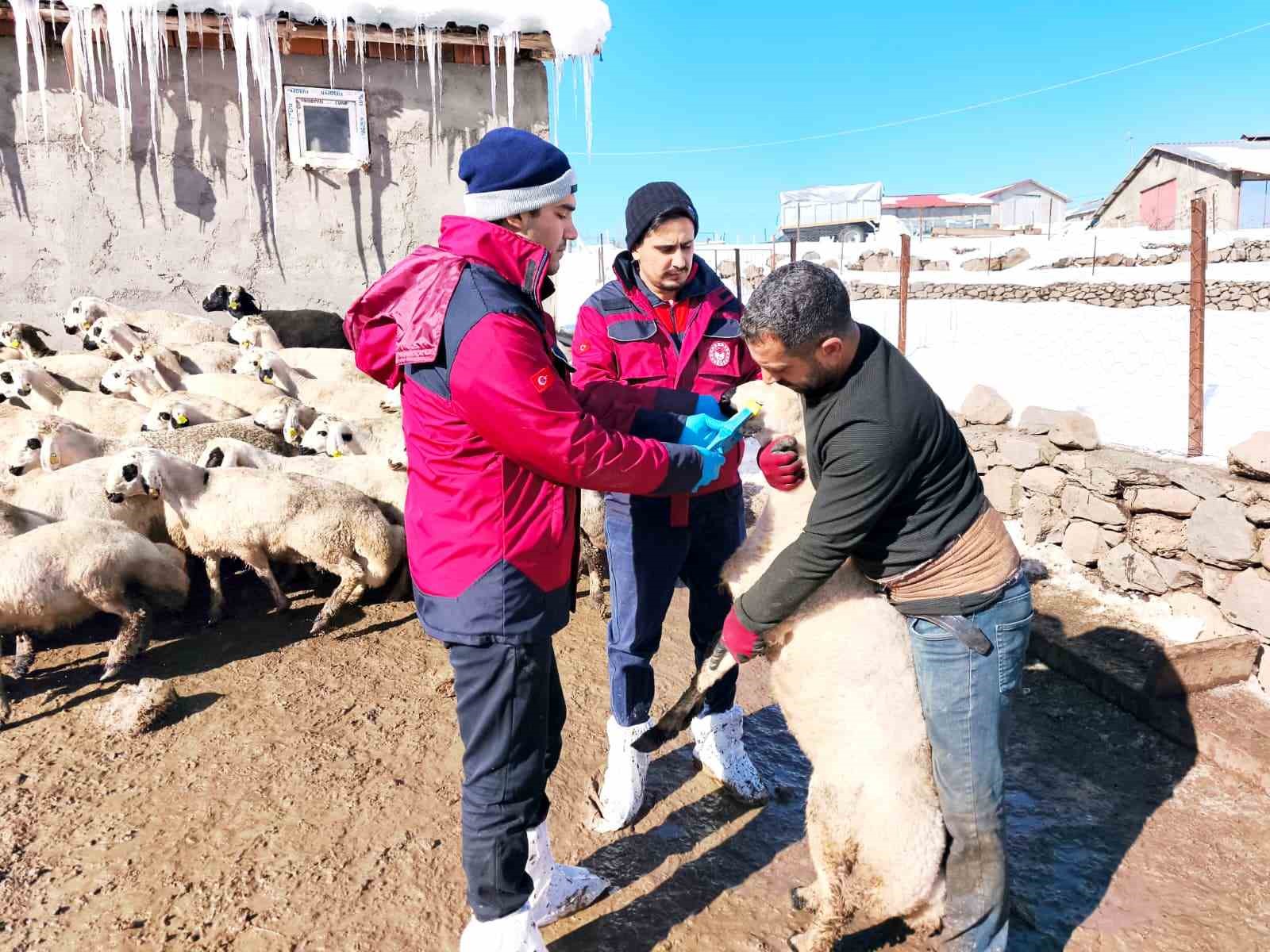 Beyaz esaretin içinde hayat kurtaran eller
