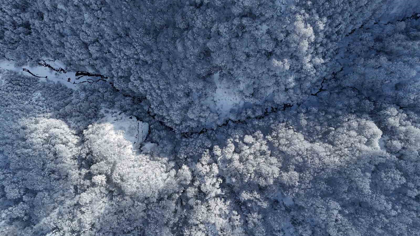 Beyaz, mavi ve yeşil birleşti: Eşsiz manzara mest etti
