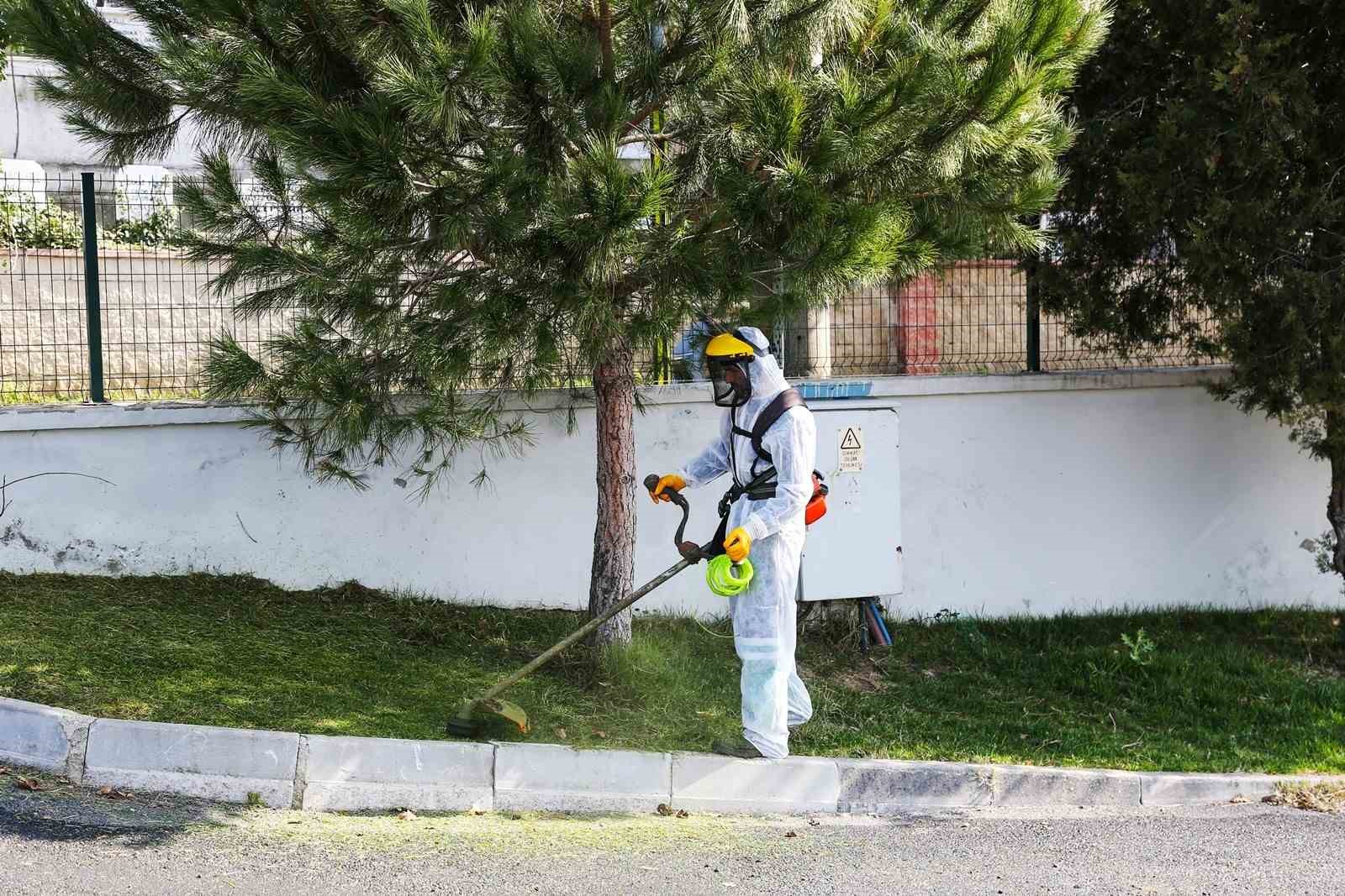 Beykoz Şok Hizmet Ekipleri Anadolu Feneri Mahallesi’nde sahaya indi
