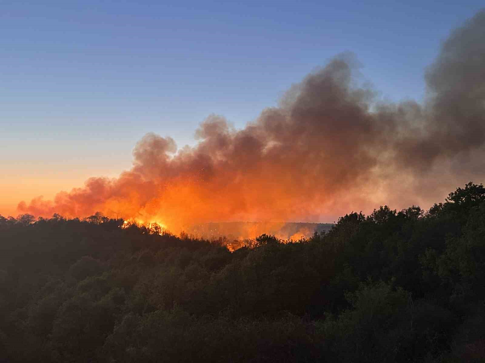 Beykoz’da 3 hektarlık alan küle döndü: Yangına müdahale devam ediyor
