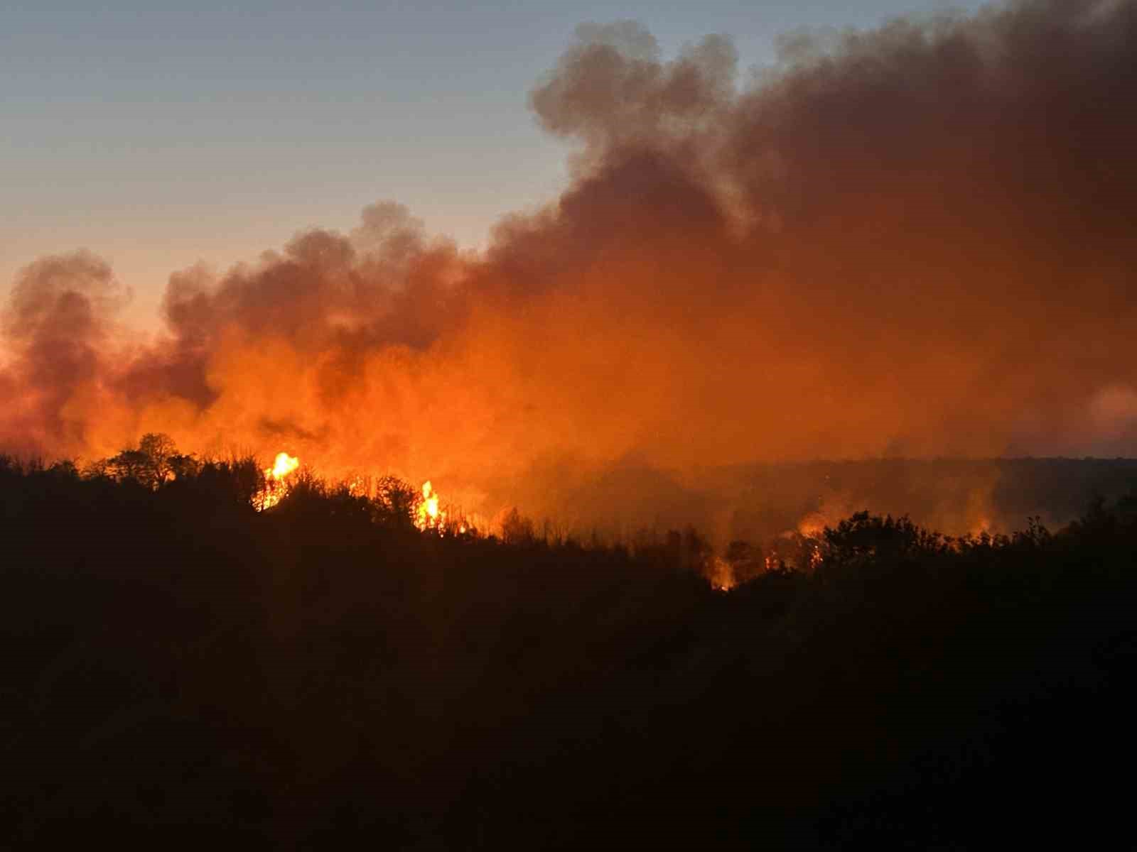 Beykoz’da 3 hektarlık alan küle döndü: Yangına müdahale devam ediyor
