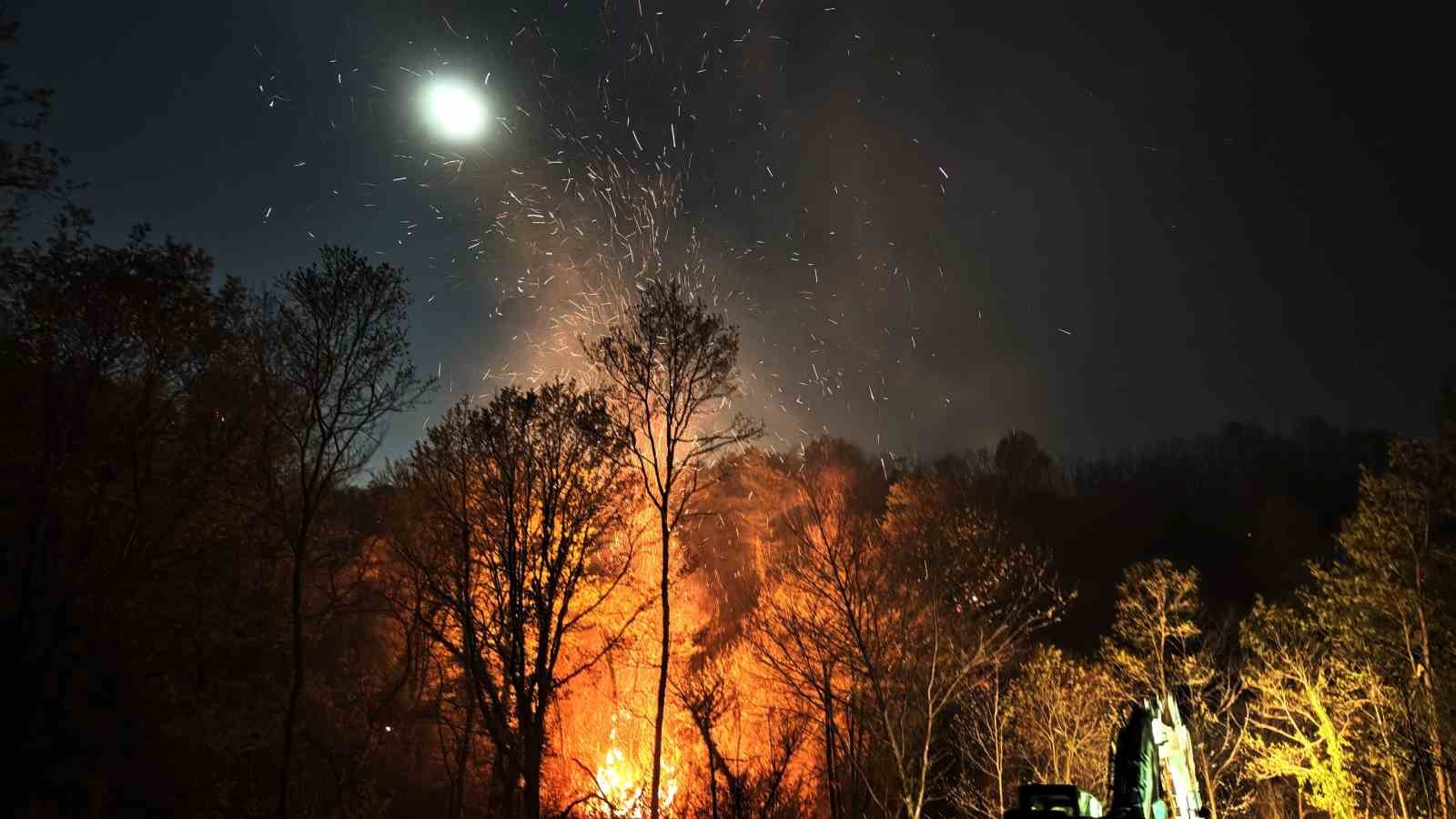 Beykoz’daki orman yangını 9 saatte kontrol alındı
