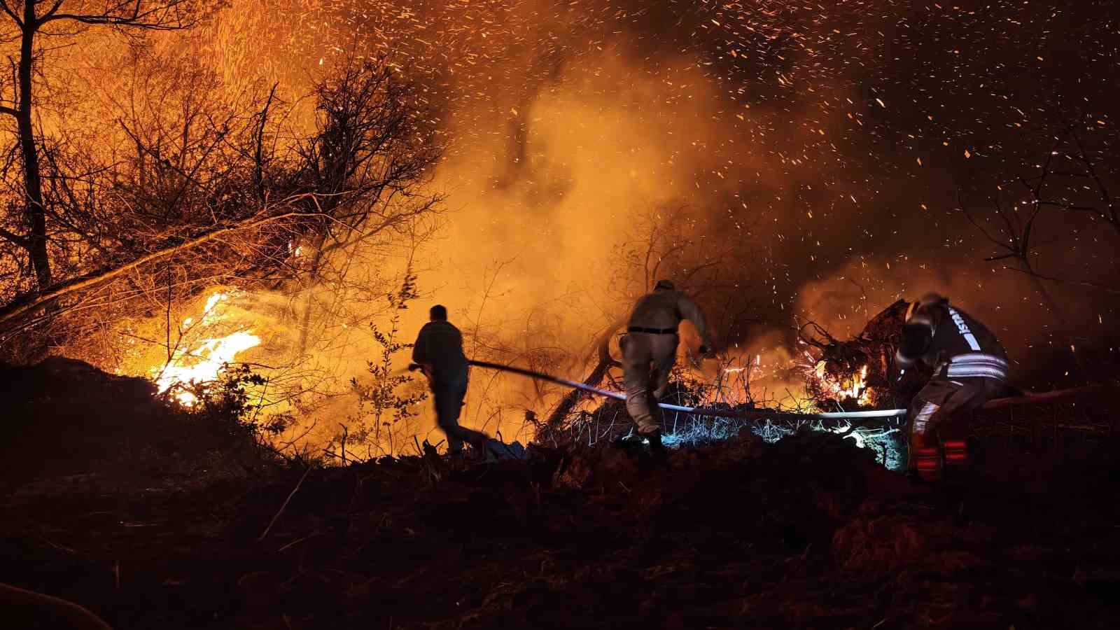 Beykoz’daki orman yangını 9 saatte kontrol alındı
