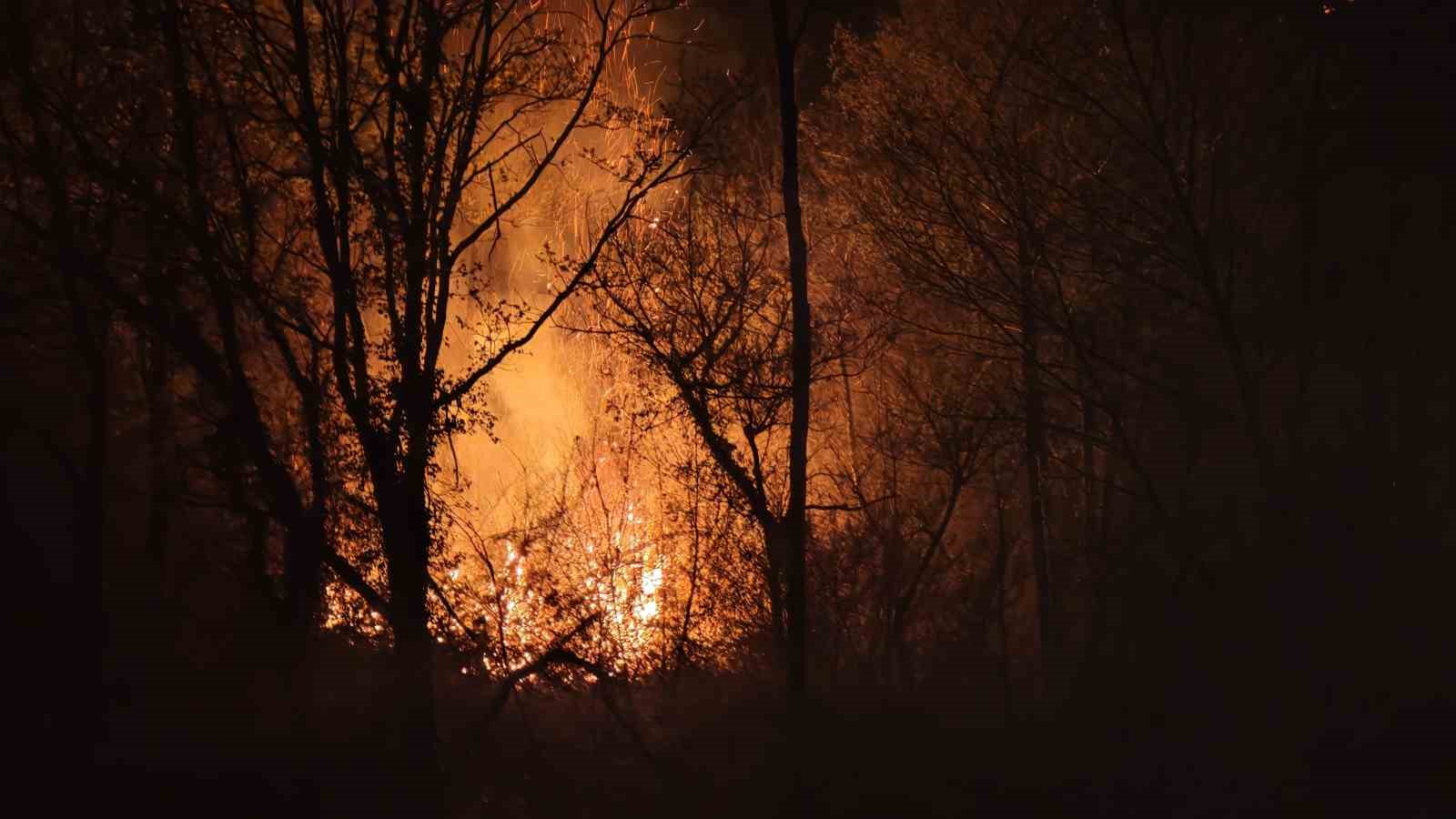 Beykoz’daki orman yangını 9 saatte kontrol alındı
