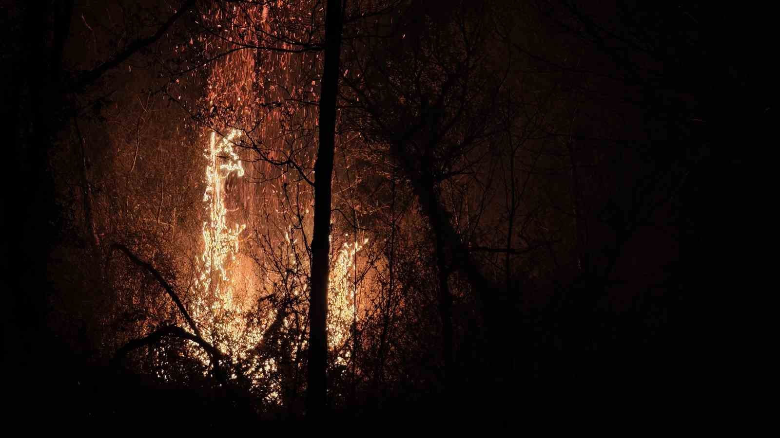 Beykoz’daki orman yangını 9 saatte kontrol alındı
