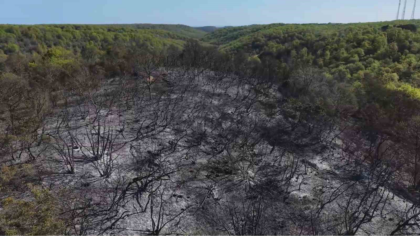 Beykoz’daki yangının bilançosu gün ağarınca ortaya çıktı
