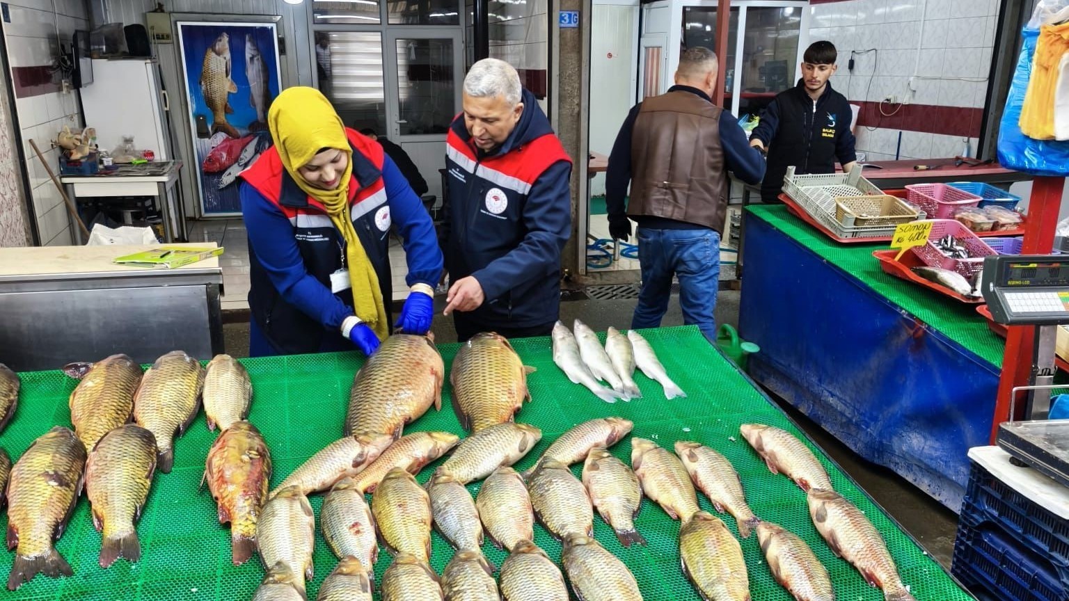 Beyşehir Gölünde avcılık falliyetleri denetim altındı
Beyşehir Gölünde avcılık falliyetleri denetim altındı
