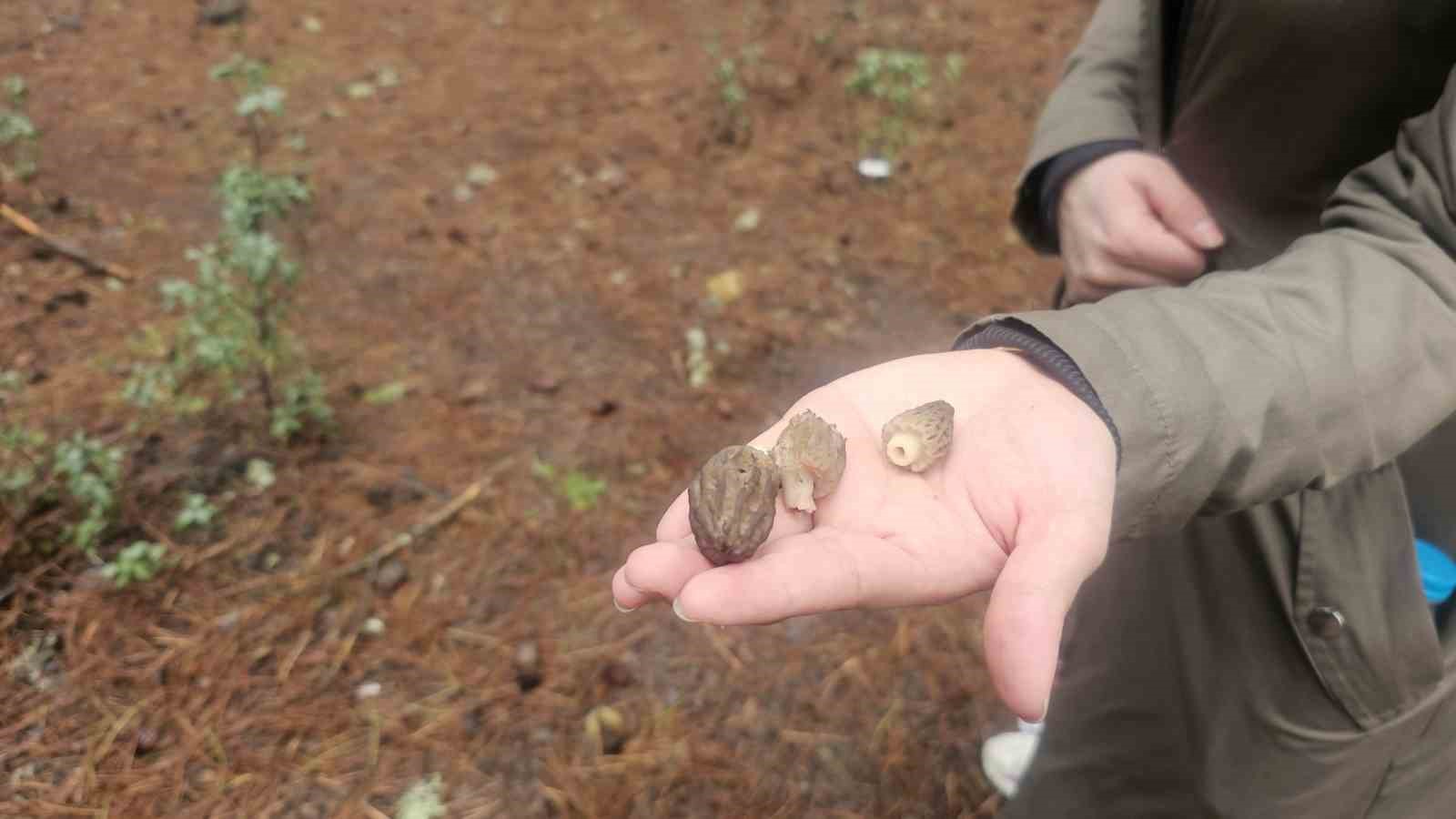 Beyşehir’de doğa tutkunları hem yürüyüş hem de kuzugöbeği için buluştu
