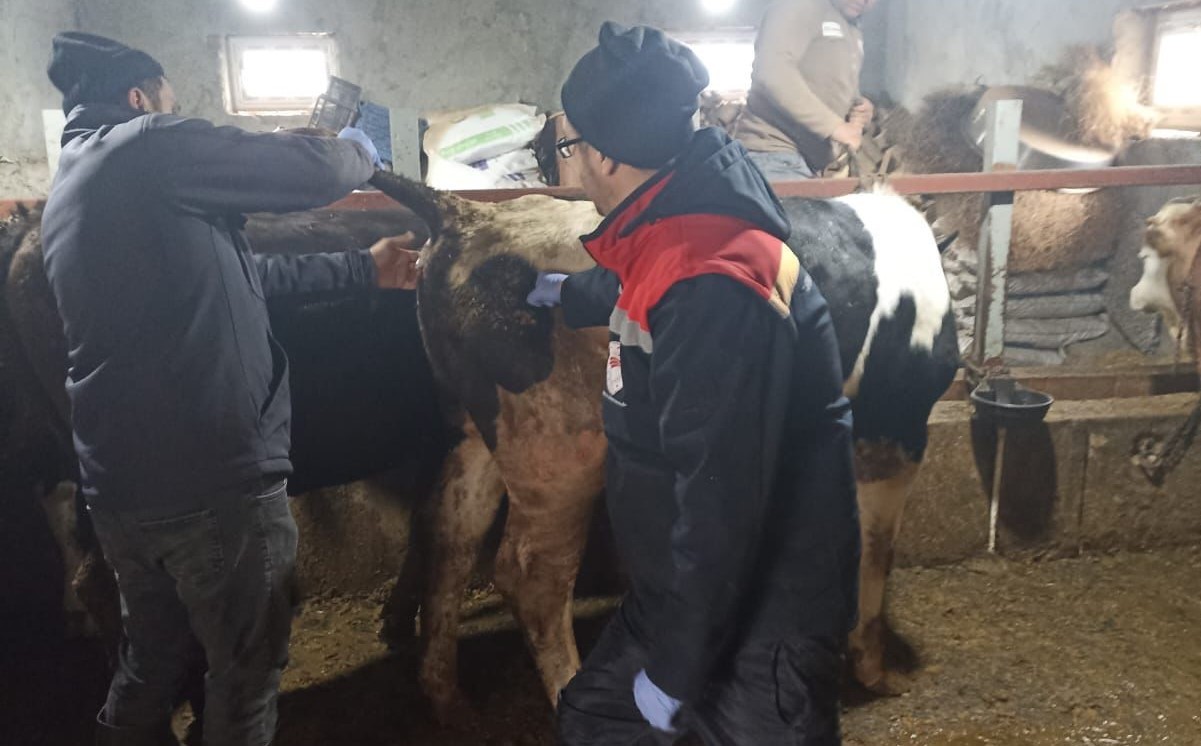 Beyşehir’de şap ile mücadelede çalışmaları
