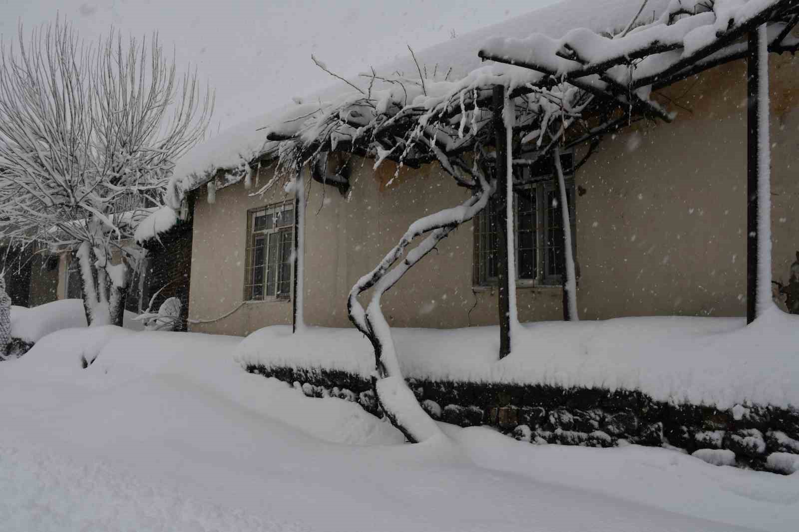 Beytüşşebap ve Uludere ilçelerinde kar yağışı etkili oldu
