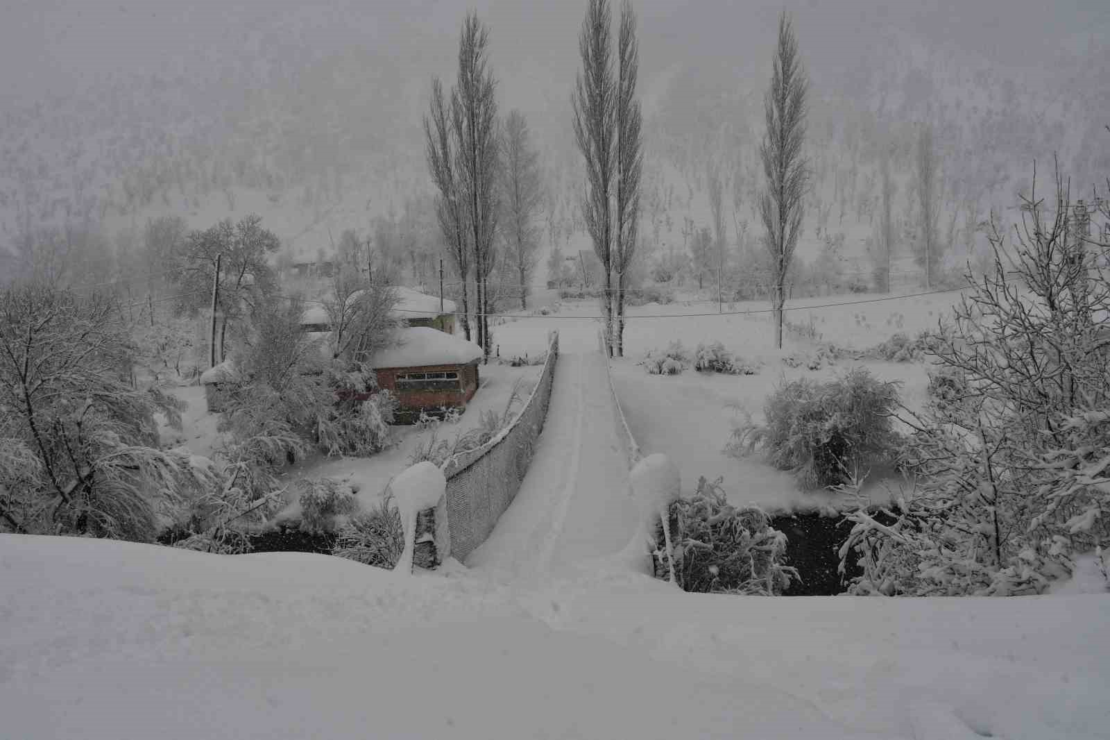 Beytüşşebap ve Uludere ilçelerinde kar yağışı etkili oldu
