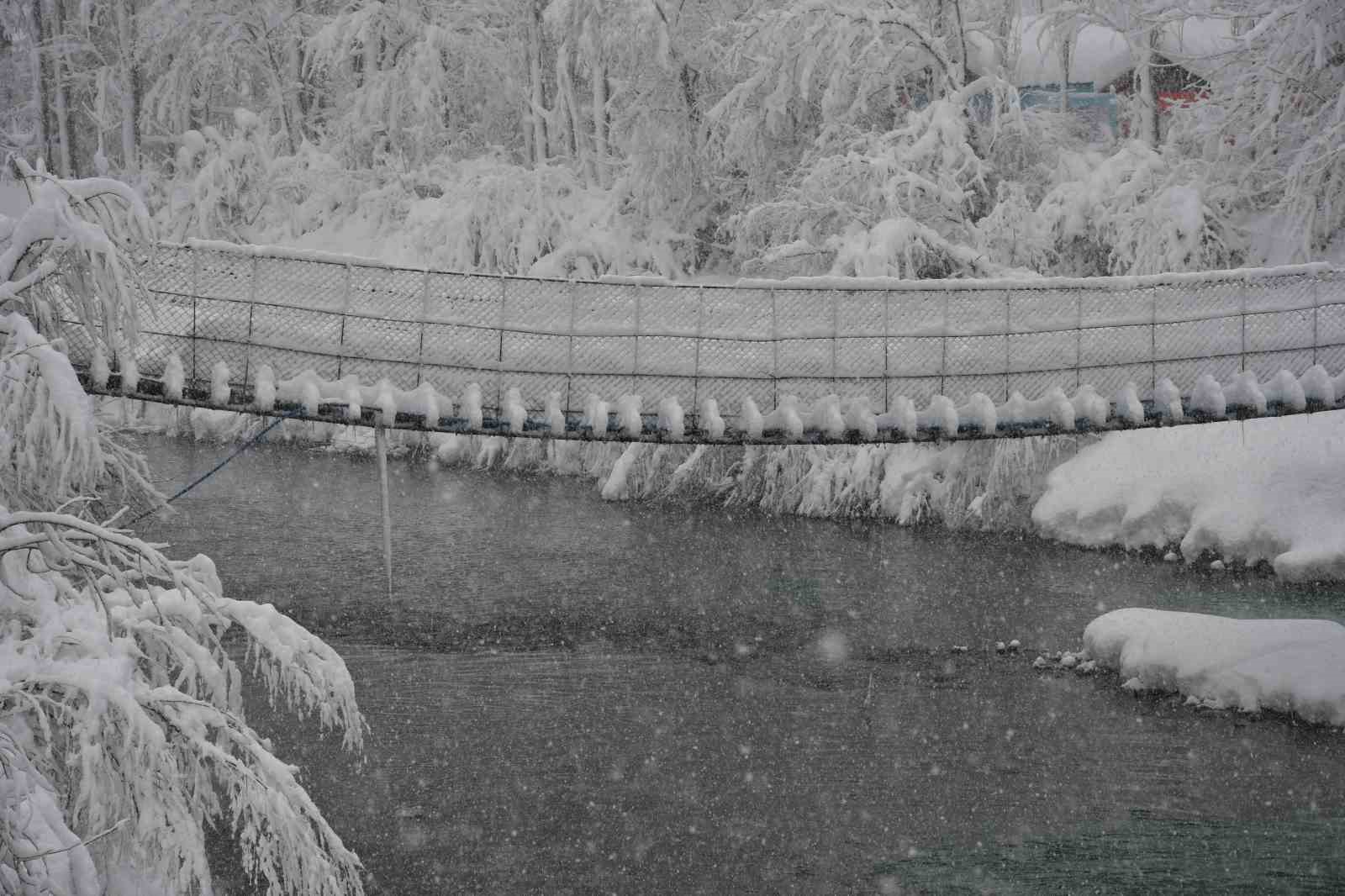 Beytüşşebap ve Uludere ilçelerinde kar yağışı etkili oldu
